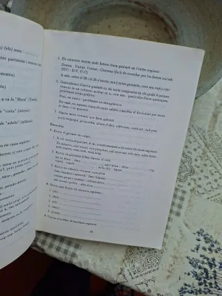 Quadern normativa bàsica de la llengua catalana...