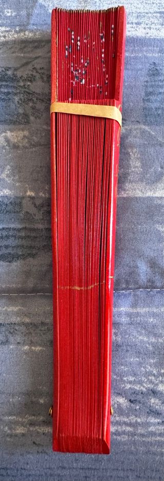 Abanico pintado a mano Aires del Sur