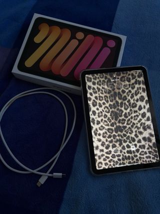 iPad mini 7 con cargador y apple pencil originales