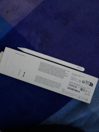 iPad mini 7 con cargador y apple pencil originales