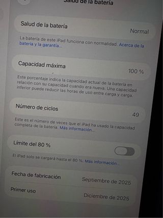 iPad mini 7 con cargador y apple pencil originales