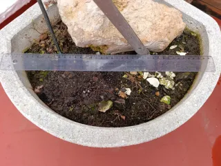 Maceta de piedra esquinera