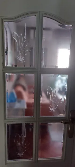 Cinco puertas de madera maciza de interior