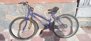 Lote 5 Bicicletas Montaña