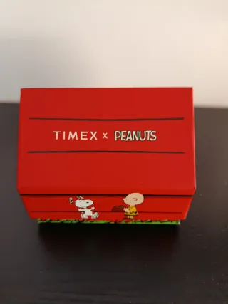 Orologio Timex Automatico Peanuts Acciaio