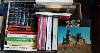 Caja CHOLLO de 22 libros Variados
