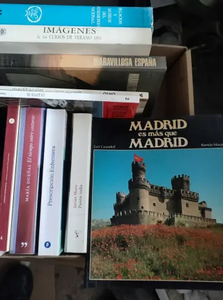 Caja CHOLLO de 22 libros Variados