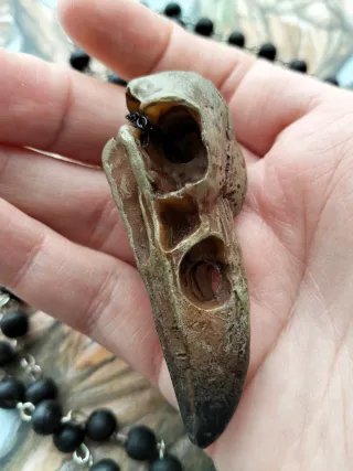 Collana teschio corvo Viking con pentacolo