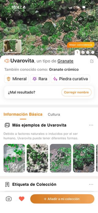 Anillo Plata 925 Uvarovita (Granate Verde Raro)