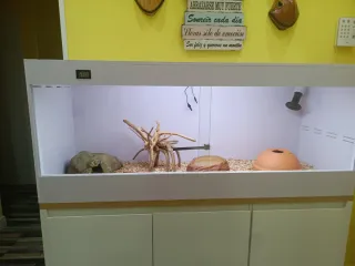 Terrario completo nuevo 1,20m