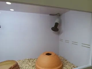 Terrario completo nuevo 1,20m