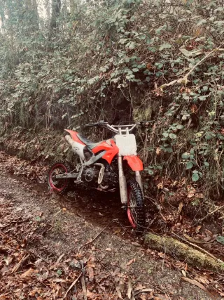 Pit Bike Infantil Roja y Blanca