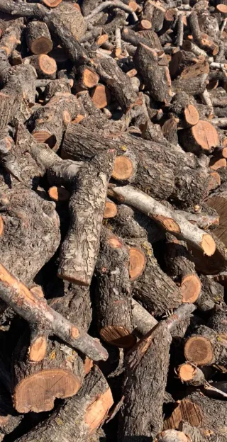 Lote de leña de almendro por 50€