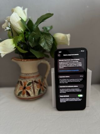 iPhone 11 Pro Max OFERTA