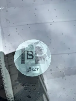 OCASIÓN FORD S MAX PEGATINA B