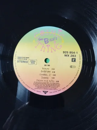 Vinilo LP The B-52's