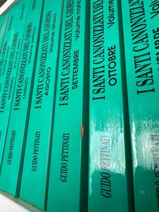 I santi canonizzati del giorno 12 volumi 1991