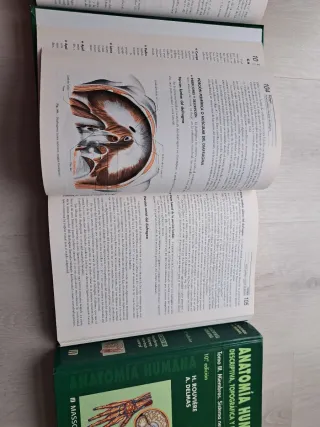 Anatomia Humana - Tomo I, II y III, 10 Ed...