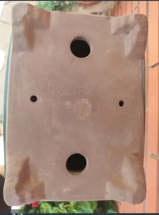 Maceta 25 cm bonsai cerámica