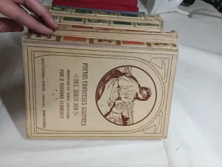 Raccolta di libri antichi del XIX secolo