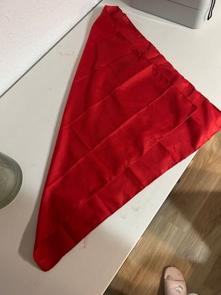 Sombrero y pañuelo vaquero