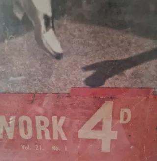 2 Cuadros Antiguos Judy Garland