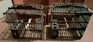 Jaula Jilguero Percha