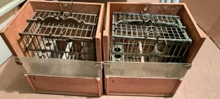 Jaula Jilguero Percha