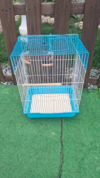 Jaula para pájaros azul y blanca