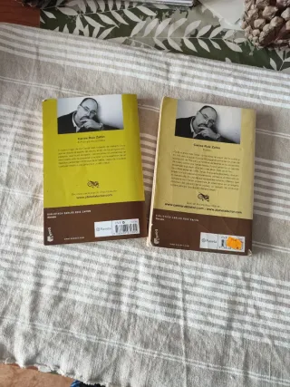 El Príncipe de la Niebla (Spanish Edition)