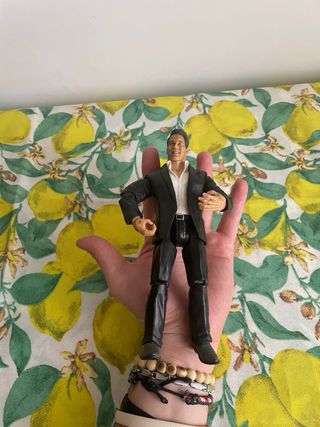 WWE Shane McMahon Jakks Pacific Action Figure