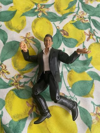 WWE Shane McMahon Jakks Pacific Action Figure