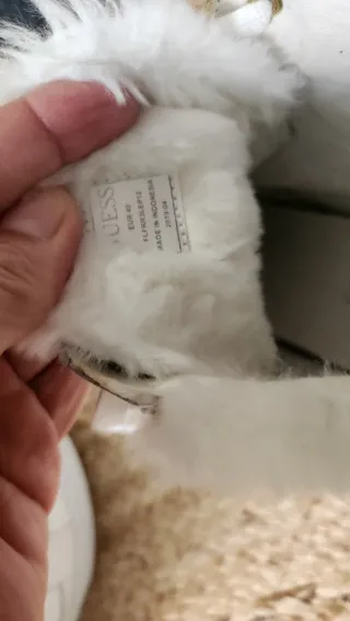 Botines Guess Piel Blanco y Dorado