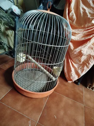 Jaula para pájaros redonda