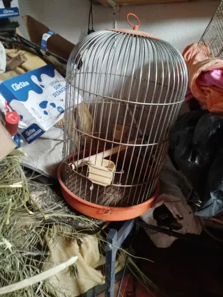Jaula para pájaros redonda