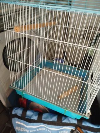 Jaula para pájaros azul y blanca