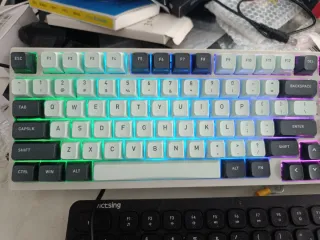 Teclado Mecánico Thunderobot K98 Retroiluminado