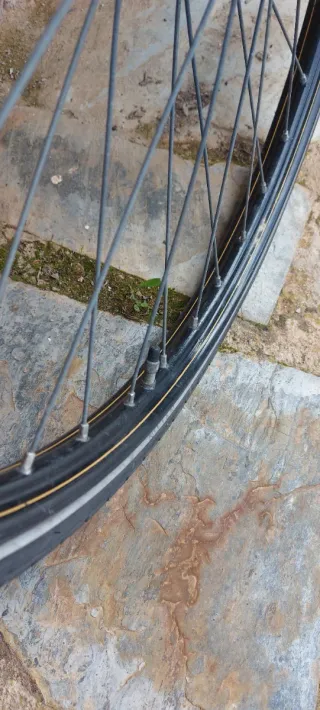 Bicicleta Holandesa Clásica Negra