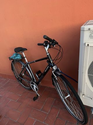 Bicicleta Raleigh Pioneer Crossbar 2021