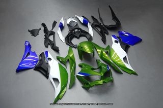 Oferta especial Carenado KAWASAKI ZX 4R RR 2023