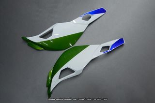 Oferta especial Carenado KAWASAKI ZX 4R RR 2023