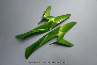 Oferta especial Carenado KAWASAKI ZX 4R RR 2023