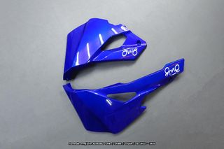 Oferta especial Carenado KAWASAKI ZX 4R RR 2023