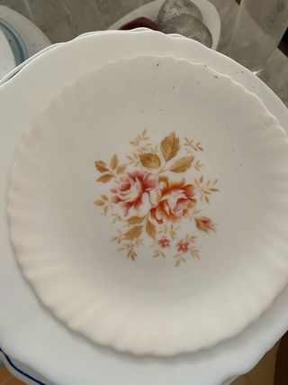 Conjunto de 20 Platos Cerámica Porcelana