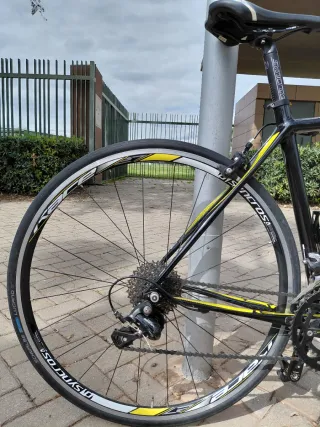 Scott CR1 Carbono