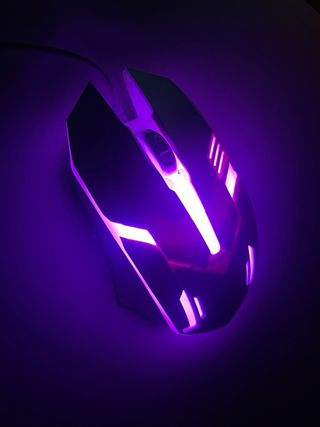 Ratón Gaming Negro y Blanco