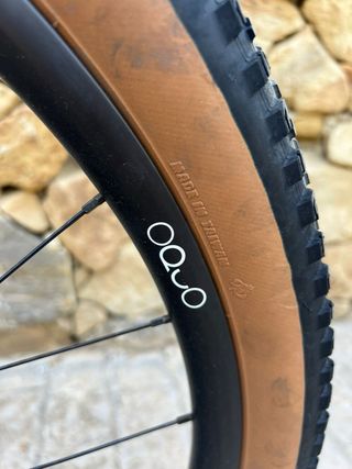 Bicicleta BMC Twostroke Talla L Carbono