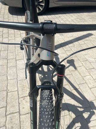 Bicicleta BMC Twostroke Talla L Carbono