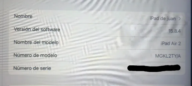 iPad Air 2 Negro 64GB WiFi