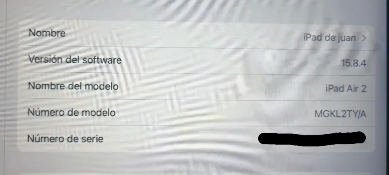 iPad Air 2 Negro 64GB WiFi
